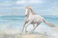 Gallop on the Beach Fine Art Print