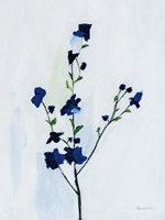 Blue Stems II Fine Art Print