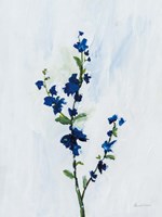 Blue Stems I Fine Art Print