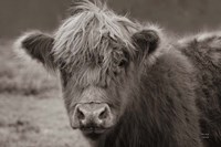 Highland Cow Do Neutral Fine Art Print