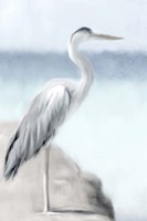 Herons View Fine Art Print