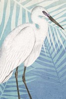 Cranes 1 Fine Art Print