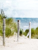 Pathway To The Beach Fine Art Print