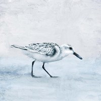 Sandpiper 1 Fine Art Print