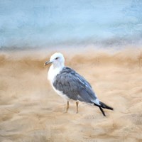 Seagull Fine Art Print
