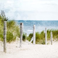 Pathway To The Beach Fine Art Print