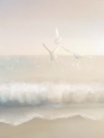 The Gulls Fine Art Print