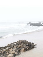 Ocean View Fine Art Print