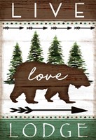 Live, Love, Lodge Framed Print