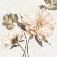 Delicate Fine Art Print