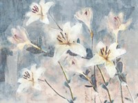 Whisper Blooms Framed Print