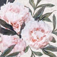 Bountiful Peonies III Fine Art Print