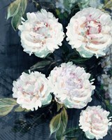 Peony Melody III Fine Art Print