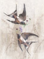 Playful Swallows Fine Art Print