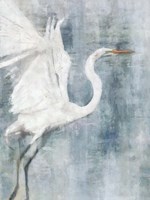 Glacier Heron Fine Art Print