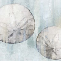 Sand Dollars Fine Art Print