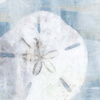 Sand Dollar II Fine Art Print