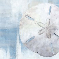 Sand Dollar III Fine Art Print