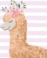 Llama Fine Art Print