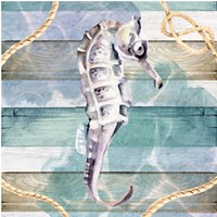 Seahorse Framed Print