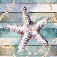 Starfish Framed Print