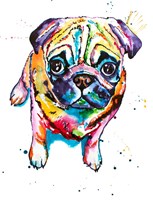 Pug II Fine Art Print