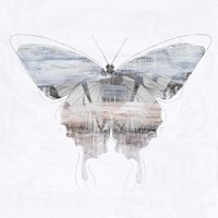 Silver Butterfly Fine Art Print