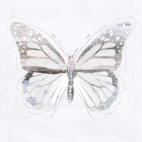 Silver Butterfly II Fine Art Print