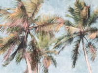 Fun Palms Fine Art Print