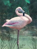 Peach Flamingo Framed Print
