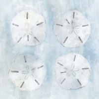 Sand Dollars II Fine Art Print
