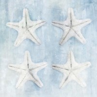 Star Fish Fine Art Print