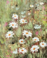 Daisy Field I Fine Art Print