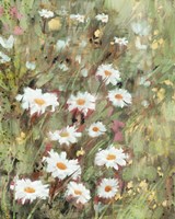 Daisy Field II Fine Art Print