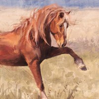 The Red Stallion Fine Art Print