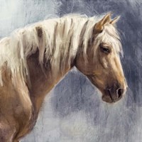 Golden Boy Fine Art Print