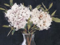 Simple Hydrangeas Fine Art Print