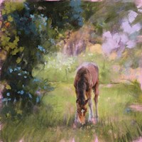 Spring Time Foal II Fine Art Print