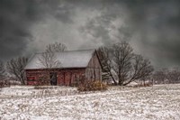 Weathering Winter Fine Art Print