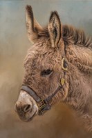 Wild Breed Fine Art Print