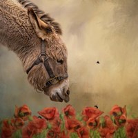 Stop and Smell the Flowers Fine Art Print