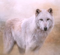 Wolf Quest Fine Art Print