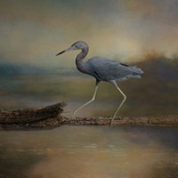 Walking the Balance Beam Fine Art Print