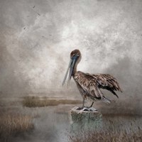Visitor to the Marshes Fine Art Print