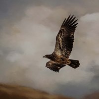 Morning Hunter Fine Art Print