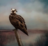 Perfect Calm Fine Art Print