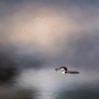 The Catch Fine Art Print