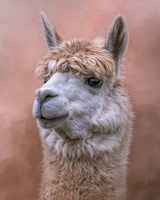 Sweetness Fine Art Print