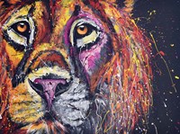 Lion Face Fine Art Print