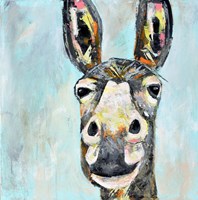 Donkey Fine Art Print